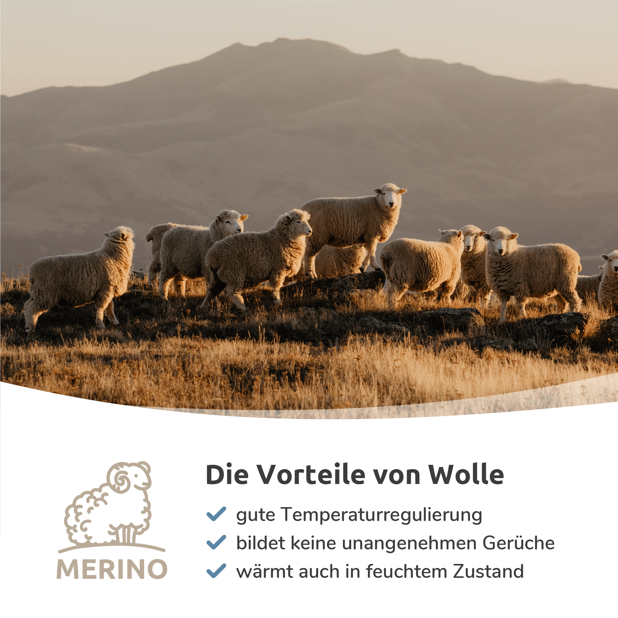 Wrightsock Wandersocken aus Merinowolle mit Blasen-Schutz Anti-Blasen-System geruchsfrei