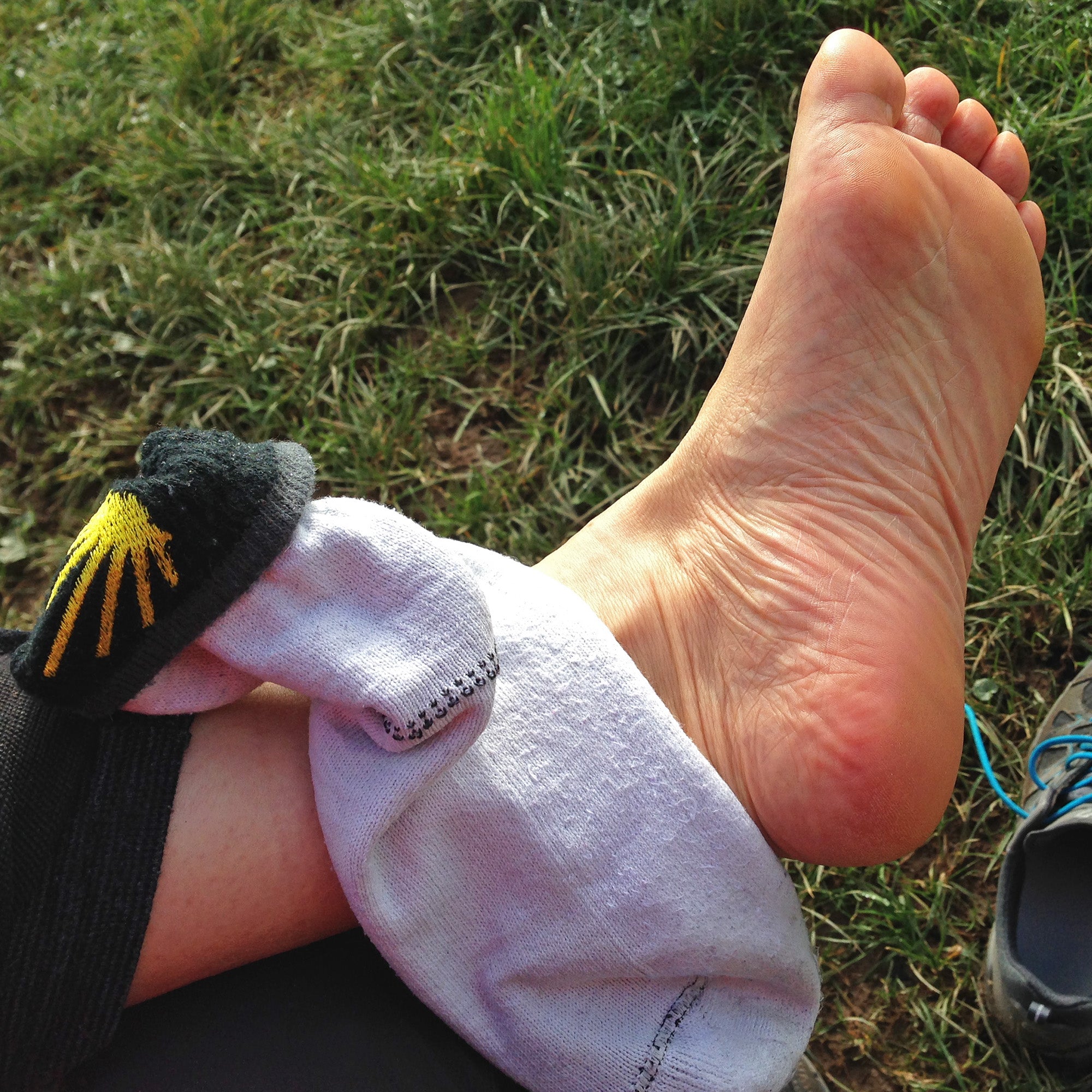 Socken gegen Blasen Pilgern und Weitwandern - Wrightsock - Jakobsmuschel Socke