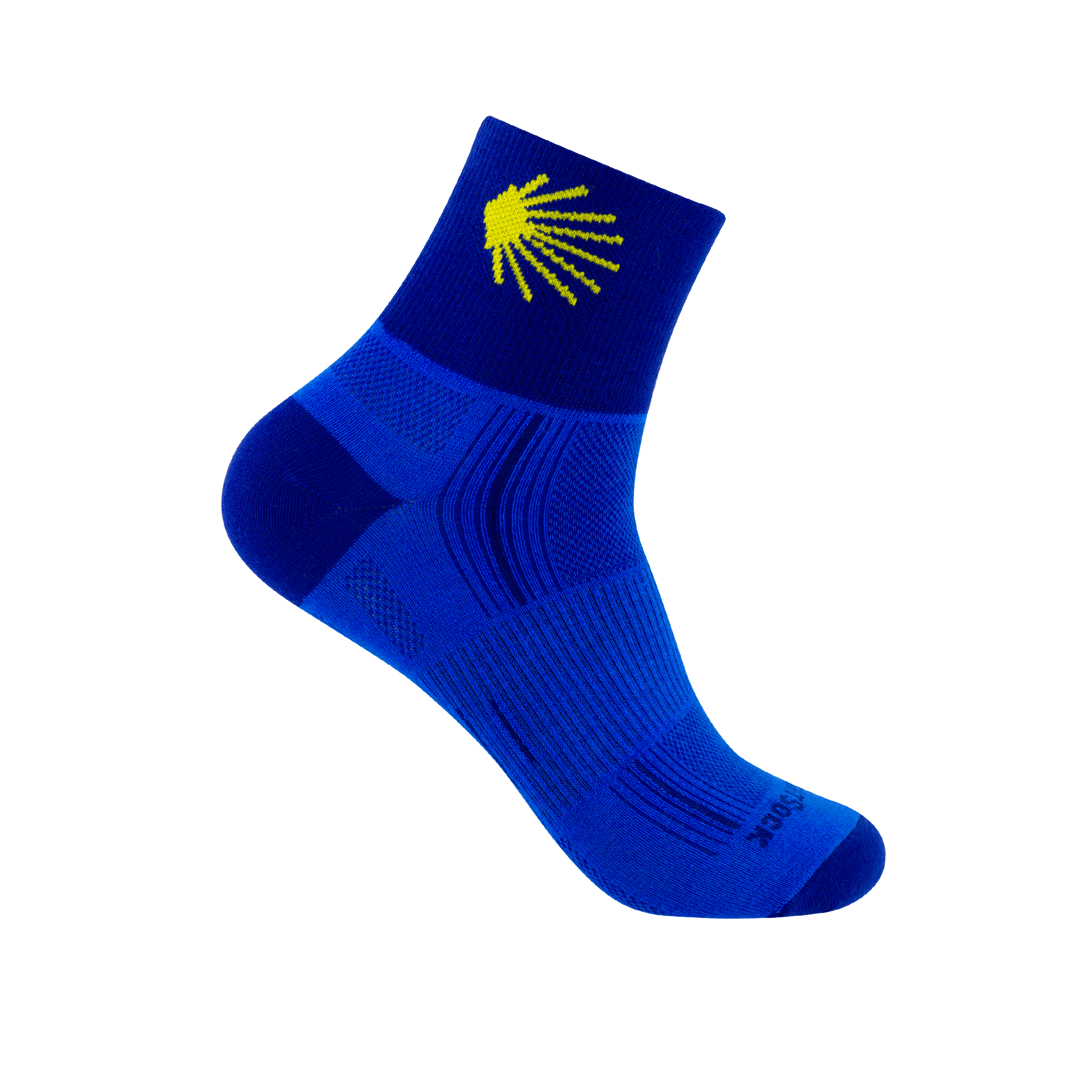 #farbe_Jakobsmuschel, blue-royal