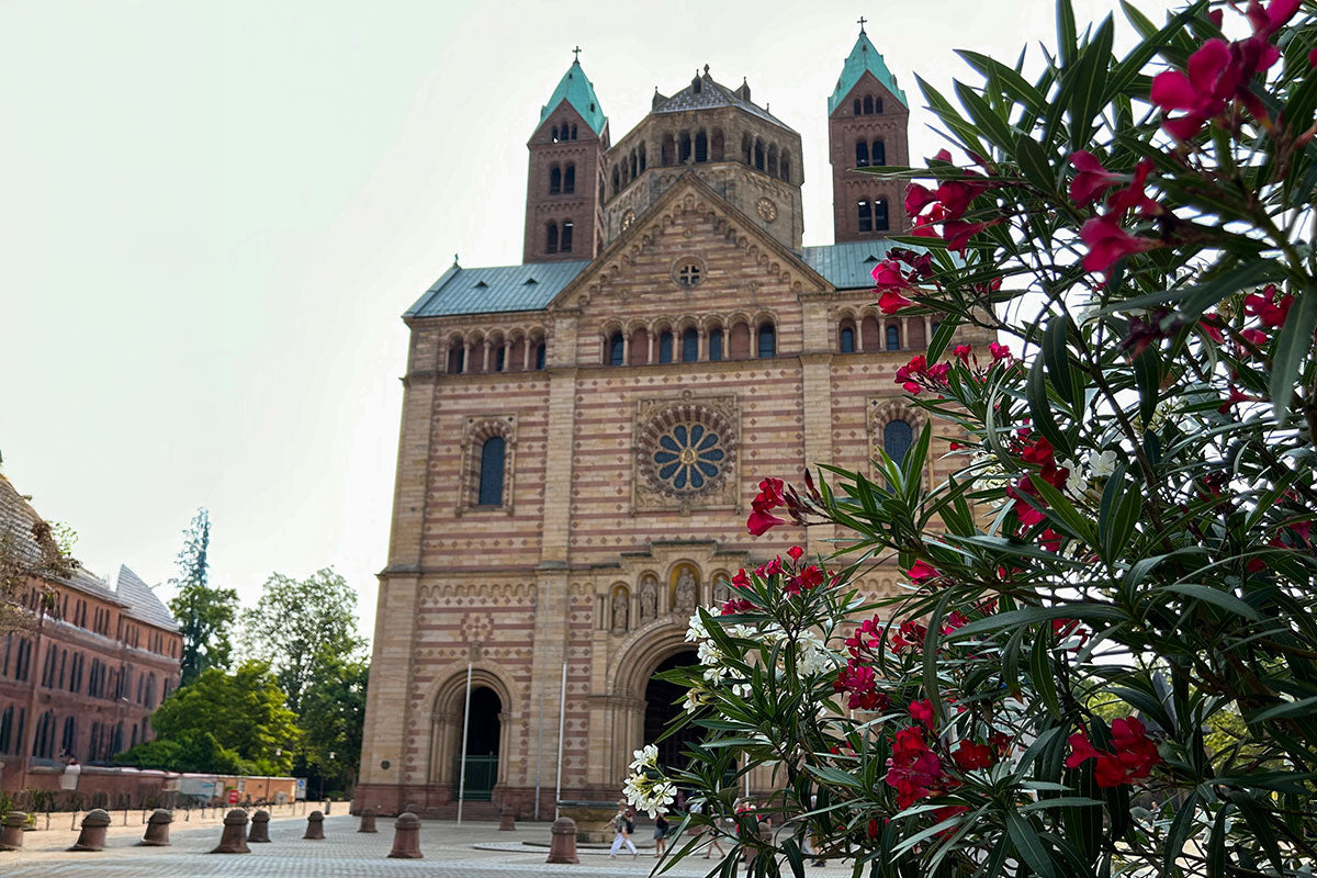 Jakobswege in Deutschland – Unsere Top 5 Varianten