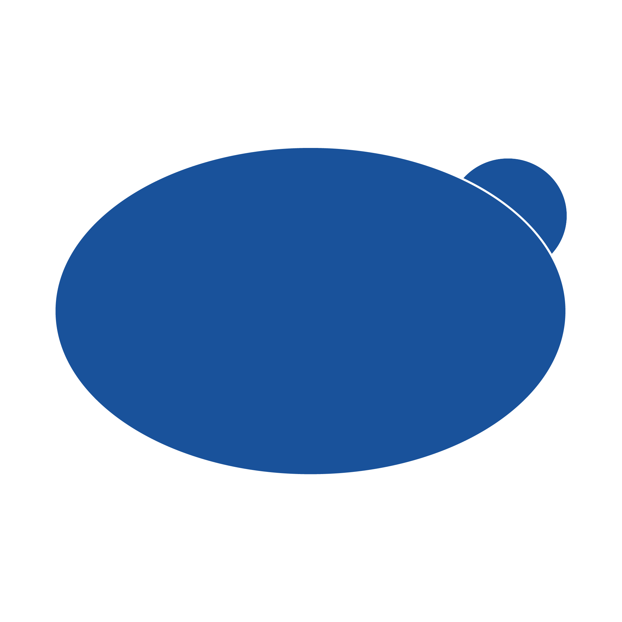 Blasenstopper – 6 ovale Stopper für Ballen/Fußkante